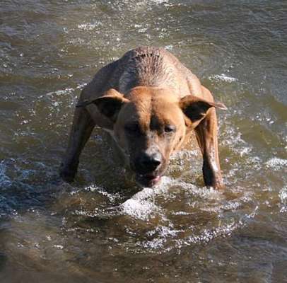 Lieblings Schnappschuss?-Beitrag-Bild