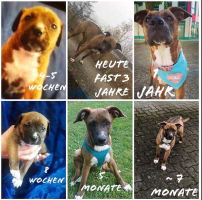 Vorher.... Nachher-Beitrag-Bild