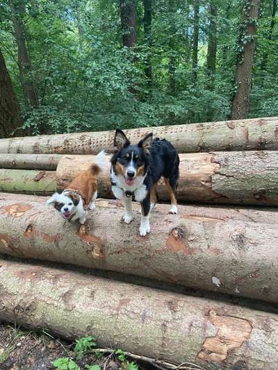 Lieblingsbild :D-Beitrag-Bild