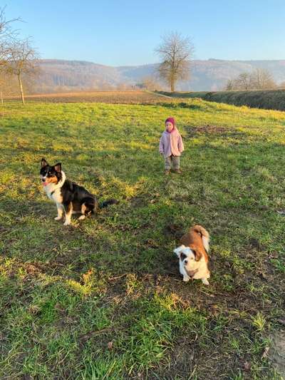 FOTOCHALLENGE 68: Dein Hund und sein bester Freund-Beitrag-Bild