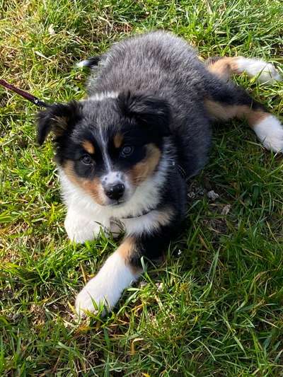 Sie werden so schnell erwachsen ...-Beitrag-Bild