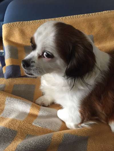 Was sie wohl gerade denken ?-Beitrag-Bild