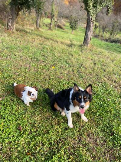 Lieblings Fotos-Beitrag-Bild