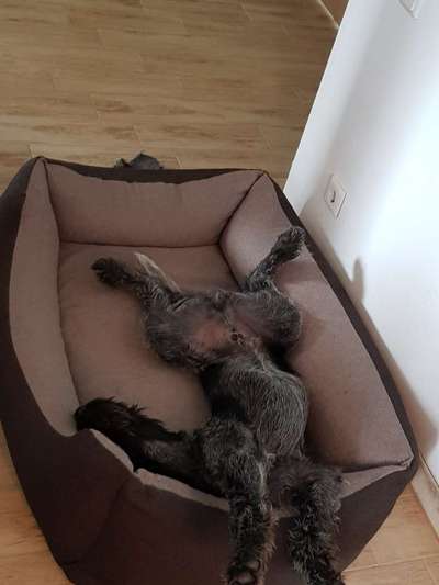 Die unbequemsten und lustigsten Schlafpositionen-Beitrag-Bild