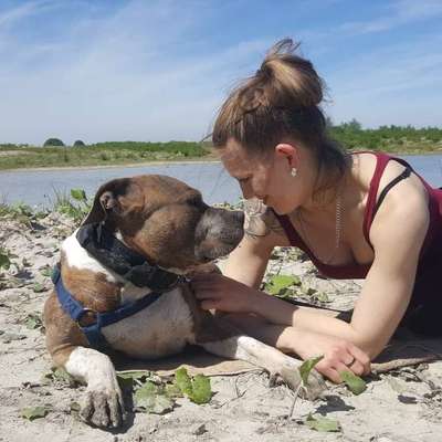 Hundetreffen-Gemeinsames Gassigehen und Training-Profilbild