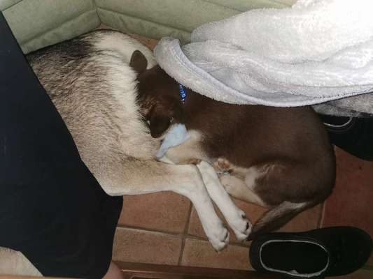 Challenge 21 - wo bin ich : )-Beitrag-Bild