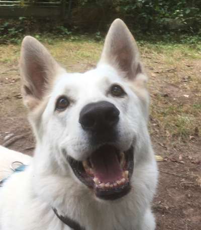 Fotochallange Nr. 57     PORTRÄT.   Beendet!!!!!!!!-Beitrag-Bild