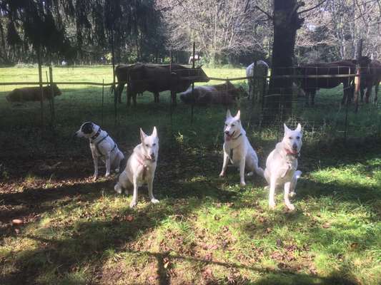 Euer schönster Moment des Jahres auf einem Bild!-Beitrag-Bild