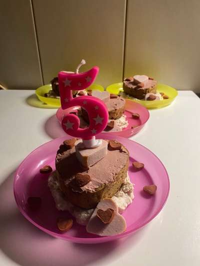 Rezepte für Hunde-Geburtstagstorte-Beitrag-Bild