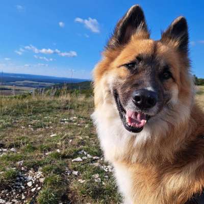 Caro's Profilbild