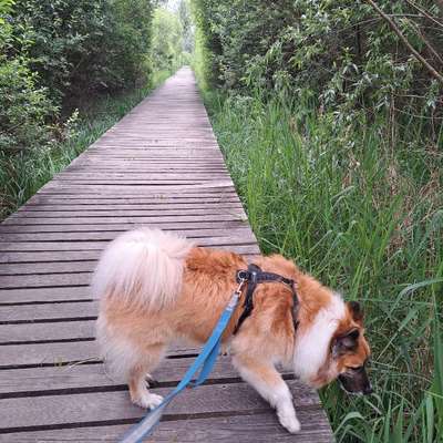 aktuelles Foto Gruppe Wandern und Outdoor
