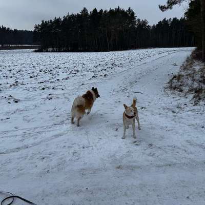 Was hat euch heute gefreut?-Beitrag-Bild