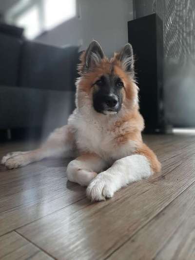 Zeigt eure Portraits-Beitrag-Bild