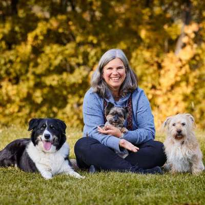 Hundeschulen-Hundeschule & -pension Kuhlmann-Bild