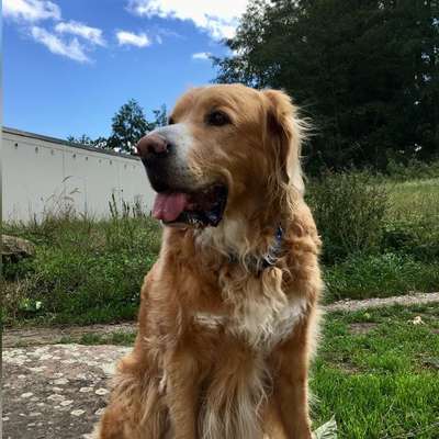 eure Spitznamen für die Vierbeiner-Beitrag-Bild