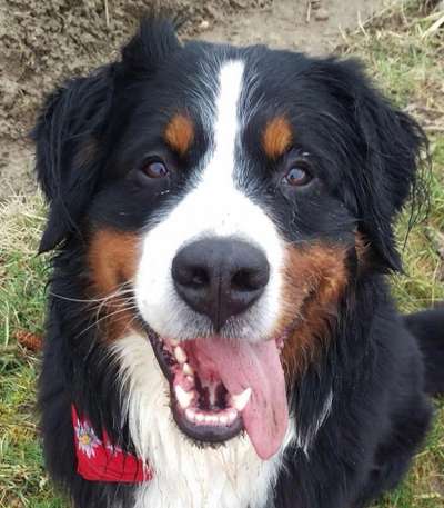 Fotochallange Nr. 57     PORTRÄT.   Beendet!!!!!!!!-Beitrag-Bild