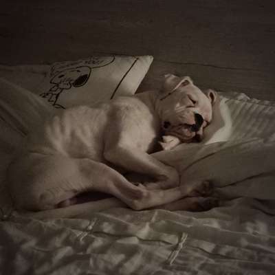 Foto Challenge Nr. 134-Beitrag-Bild