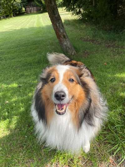 Fotochallenge Nr. 56 - geliebte Senioren-Beitrag-Bild