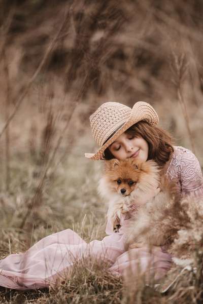 Fotografie / Hundefotografie-Beitrag-Bild