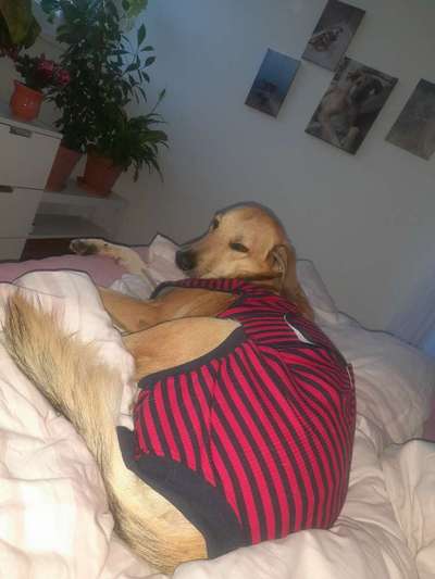 Kastraktion - Statt Trichter, Body oder…?-Beitrag-Bild