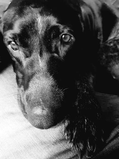 Foto-Challenge 76: Foto in Schwarz-Weiss-Beitrag-Bild