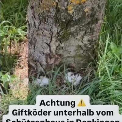 Giftköder-Giftköder-Bild