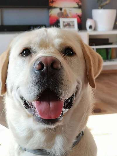 Immer lächeln !-Beitrag-Bild