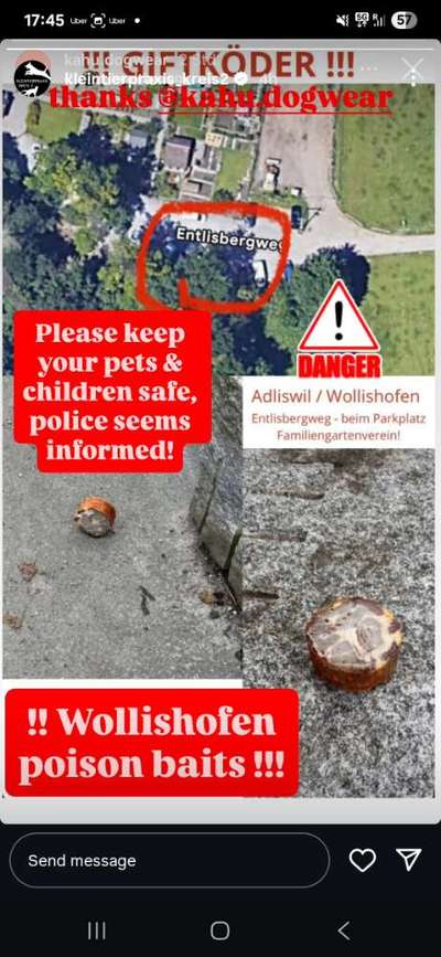 Giftköder-Poison baits / Giftköder Wollishofen-Bild