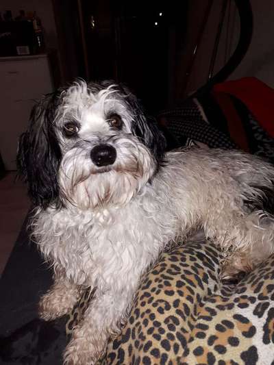 Vorher.... Nachher-Beitrag-Bild