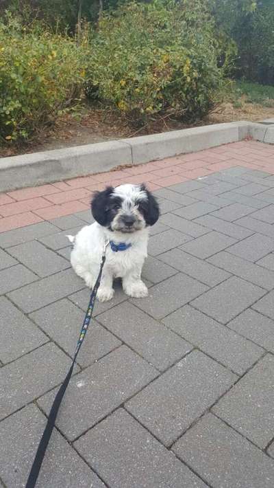 Vorher.... Nachher-Beitrag-Bild