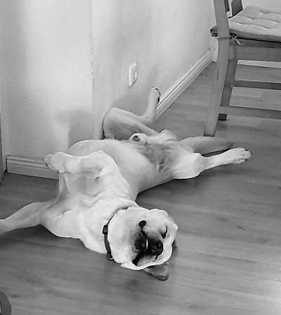 FOTO-Challenge  NR. 91: Die pure Entspannung-Beitrag-Bild