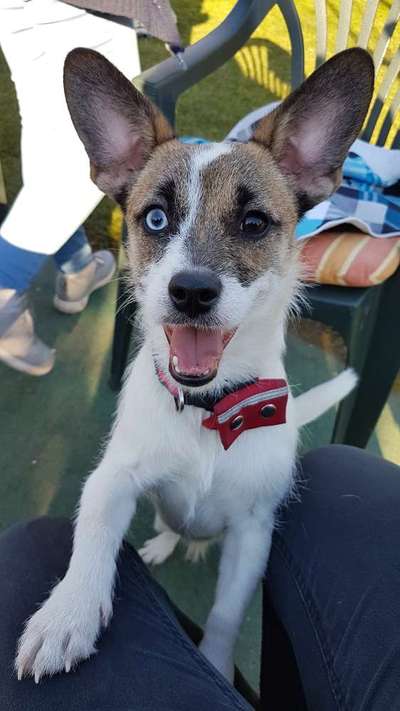 Fotochallange Nr. 57     PORTRÄT.   Beendet!!!!!!!!-Beitrag-Bild