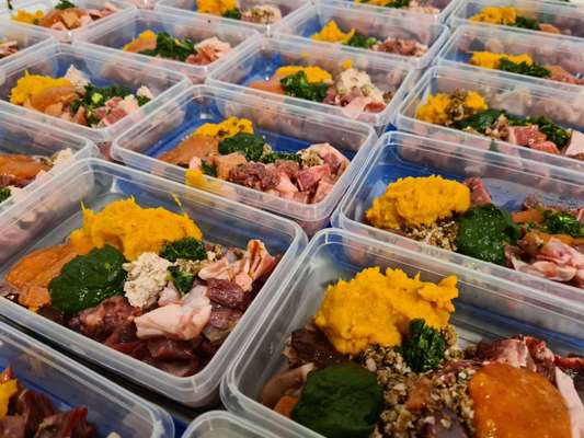 Aufbewahrung BARF-Beitrag-Bild