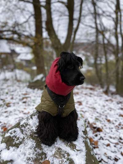 Der erste Schnee, zeigt uns eure tollen Schneemomente-Beitrag-Bild