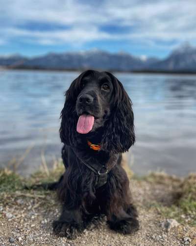 10. Farben Foto-Challenge ---- Blau-Beitrag-Bild