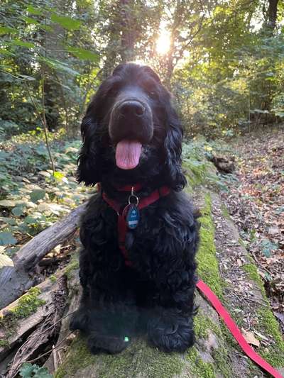 Theos Fotochallenge Nr. 3-Beitrag-Bild