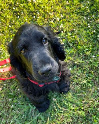 Handy-Foto Challange Nr. 10-Beitrag-Bild