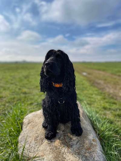 Foto Challenge Nr.133-Beitrag-Bild