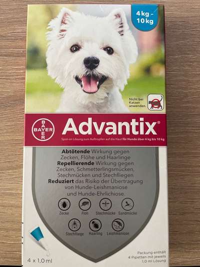 Immer wieder das leidige Thema Zecken-Beitrag-Bild