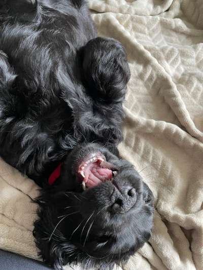 Foto-Challenge Nr. 90: Lebensfreude-Beitrag-Bild