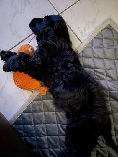 FOTO-Challenge  NR. 91: Die pure Entspannung-Beitrag-Bild