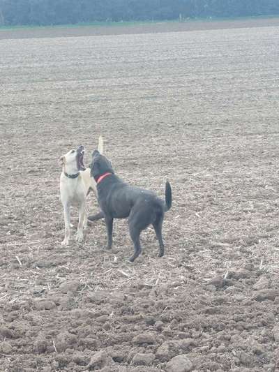 FOTO CHALLENGE Thema ,,durchdrehen"-Beitrag-Bild