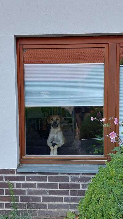 120. Fotochallenge-Beitrag-Bild