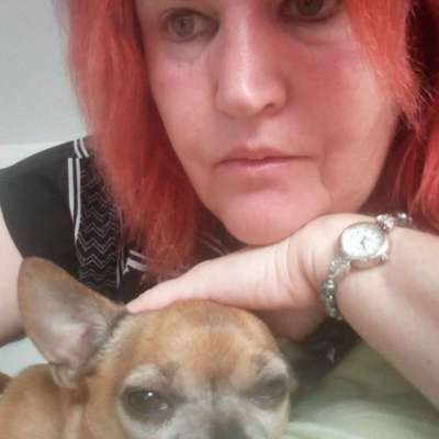 Hundetreffen-Chihuahua  treffen mit Damen-Profilbild