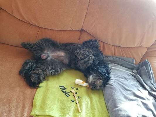 Die unbequemsten und lustigsten Schlafpositionen-Beitrag-Bild