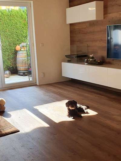 Die unbequemsten und lustigsten Schlafpositionen-Beitrag-Bild