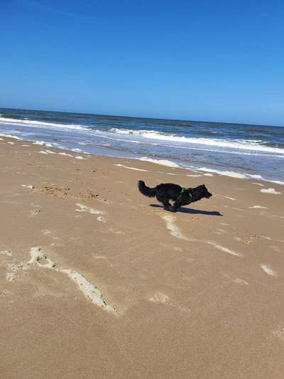 Eure Strandbilder :)-Beitrag-Bild