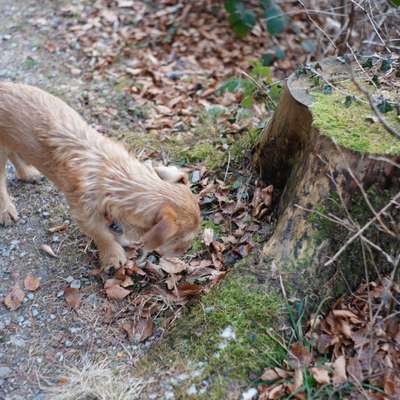 Wie habt ihr den Silvesterabend verbracht?-Beitrag-Bild