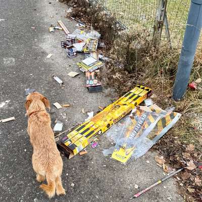 Wie habt ihr den Silvesterabend verbracht?-Beitrag-Bild