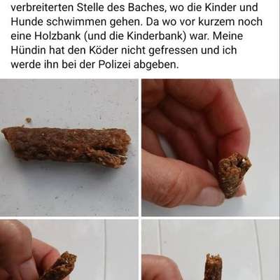 Giftköder-Nagelköder-Bild